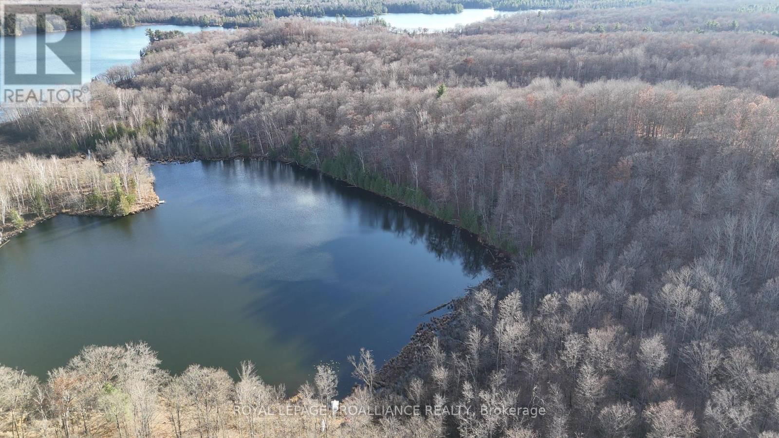 1098 TWIN SISTERS LAKE ROAD NORTH Image 4