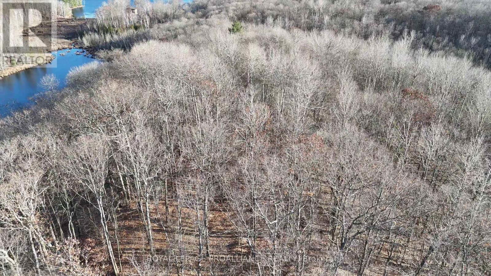 1098 TWIN SISTERS LAKE ROAD NORTH Image 6