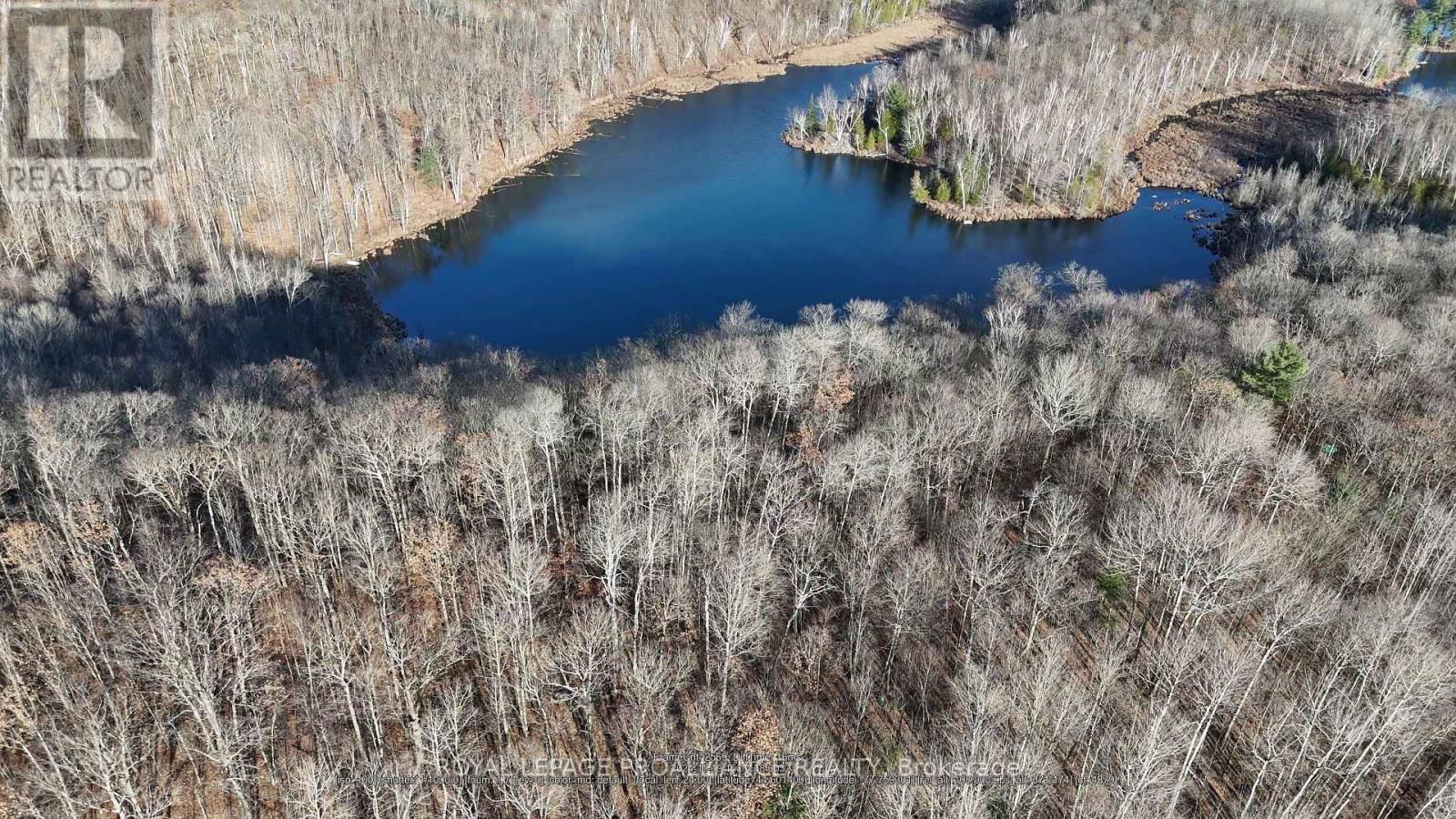 1098 TWIN SISTERS LAKE ROAD NORTH Image 7