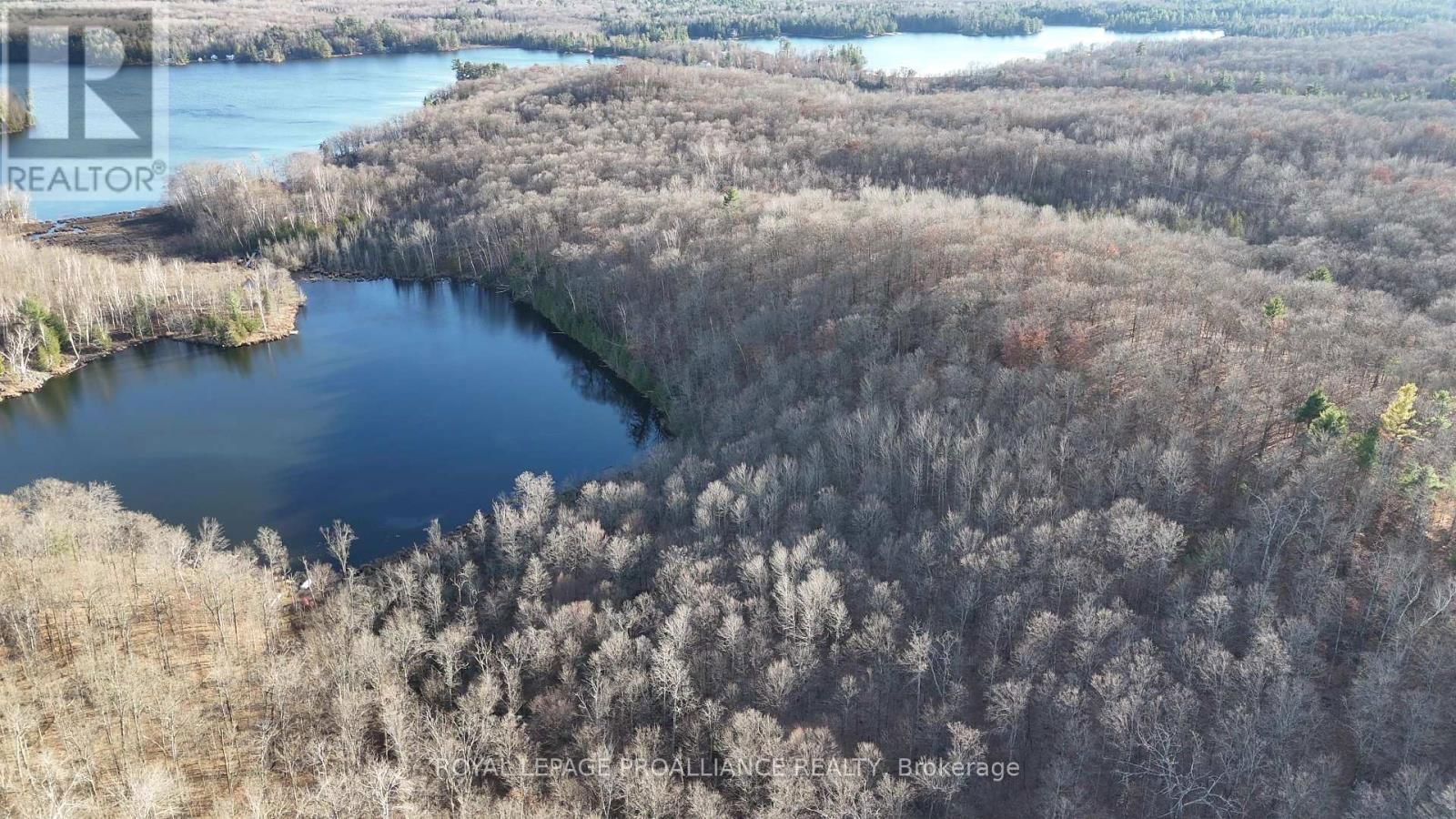 1098 TWIN SISTERS LAKE ROAD NORTH Image 9
