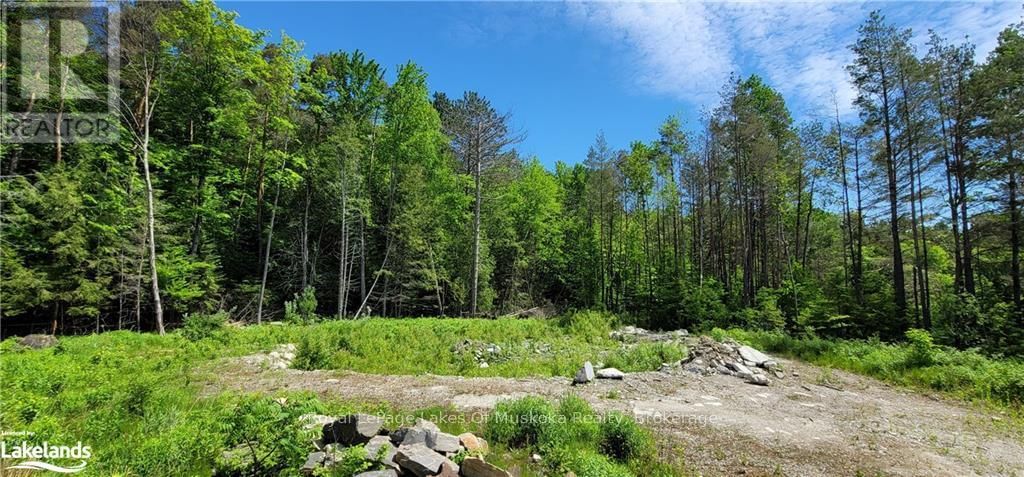 15 MADELINE STREET Image 1