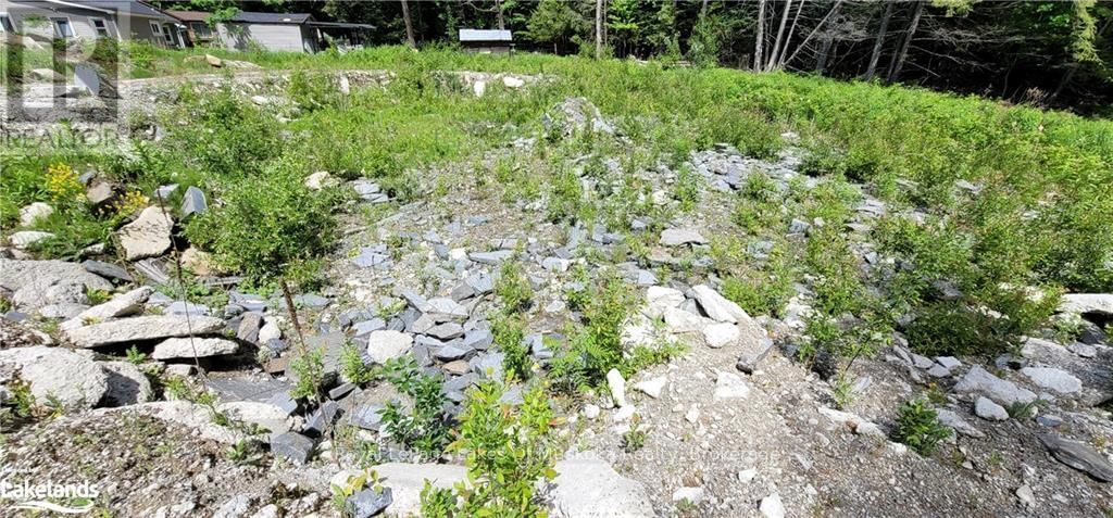 15 MADELINE STREET Image 6