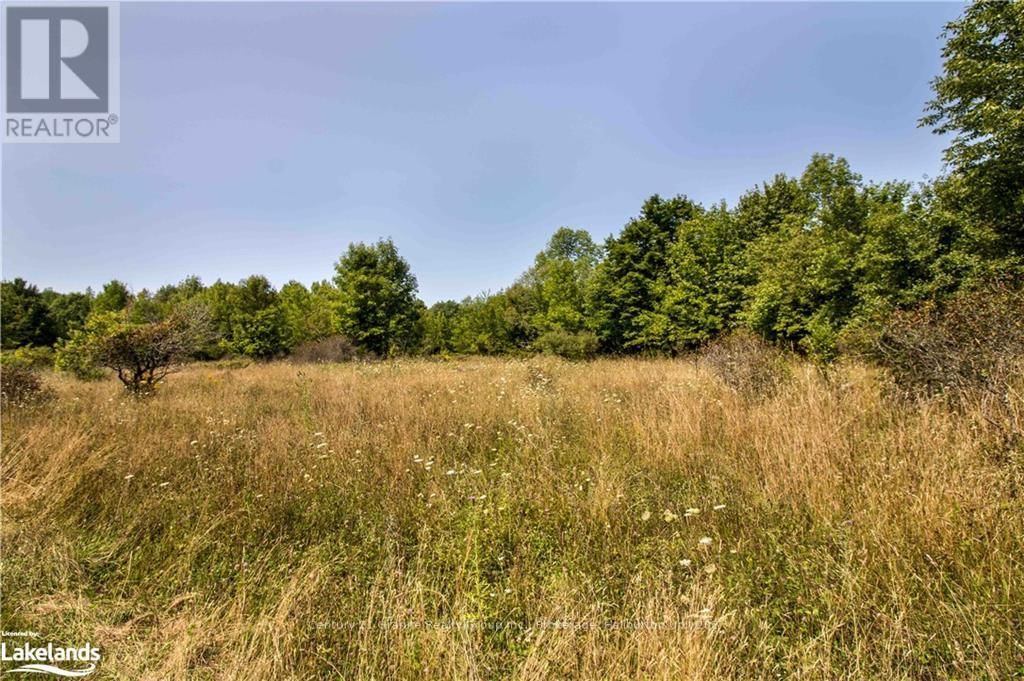 0 SUGAR BUSH ROAD Image 10