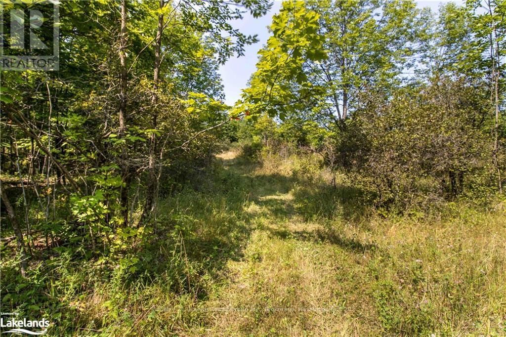 0 SUGAR BUSH ROAD Image 14