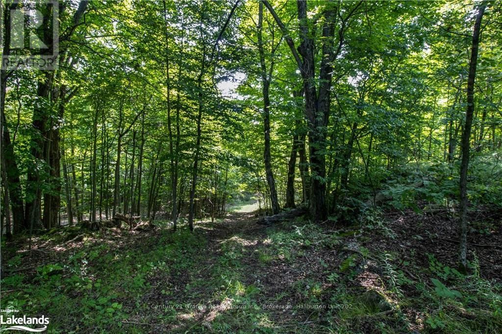0 SUGAR BUSH ROAD Image 15