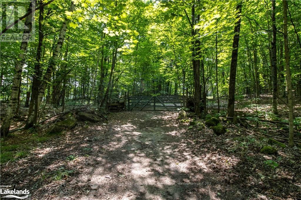0 SUGAR BUSH ROAD Image 16