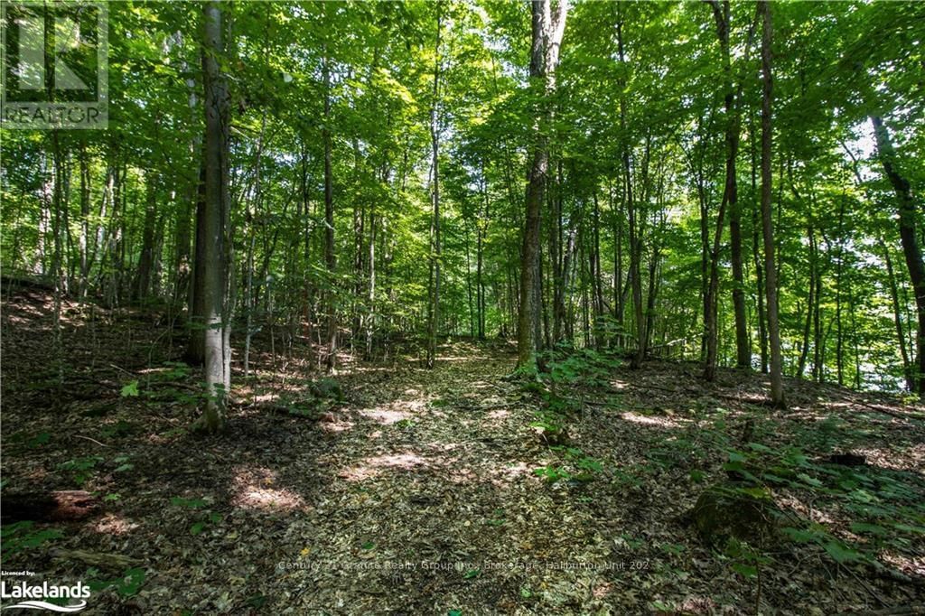 0 SUGAR BUSH ROAD Image 25