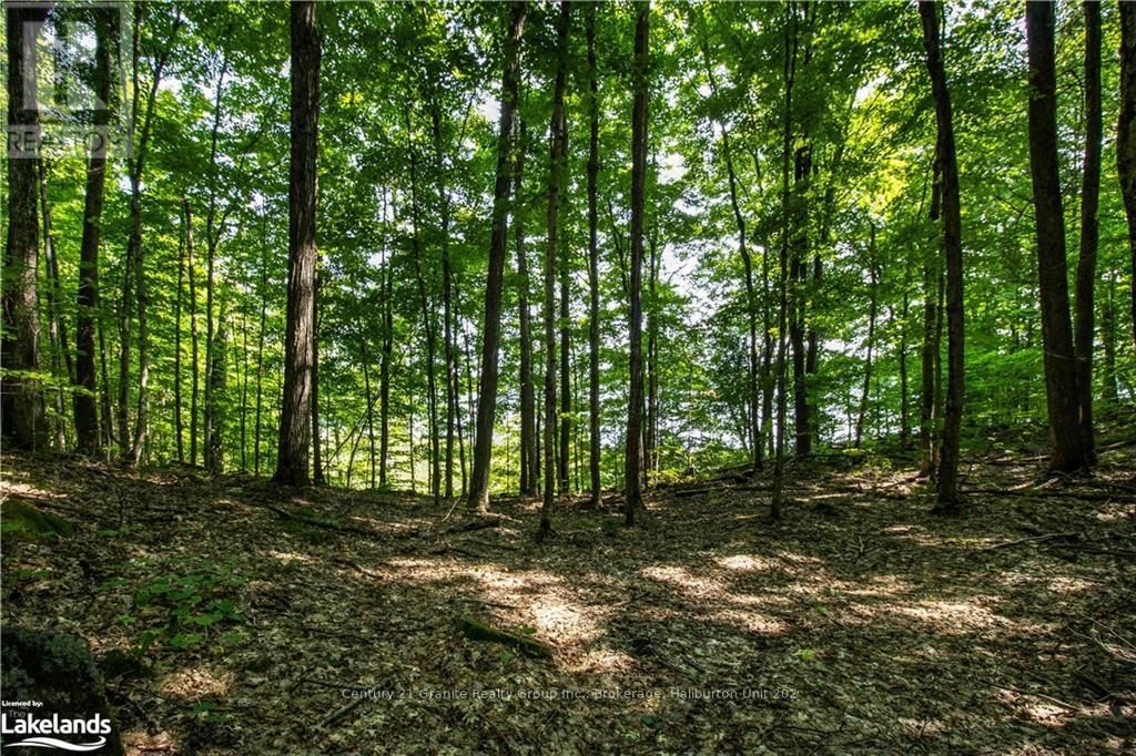 0 SUGAR BUSH ROAD Image 26