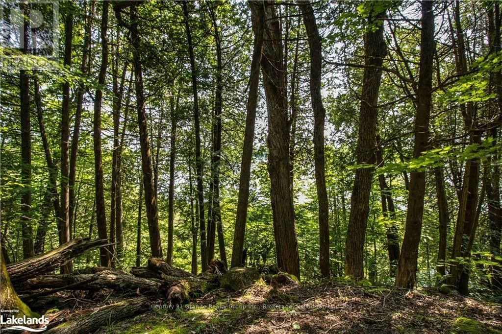 0 SUGAR BUSH ROAD Image 27