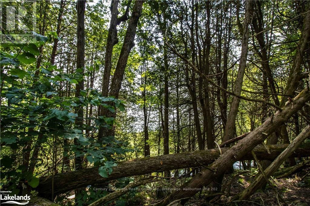 0 SUGAR BUSH ROAD Image 28