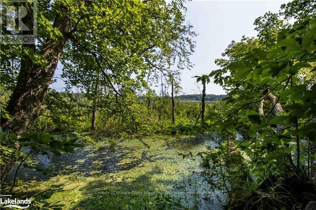 0 SUGAR BUSH ROAD Image 29