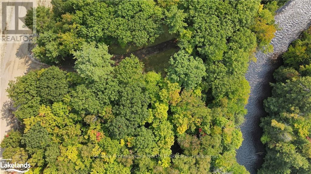 1193 HAWK VALLEY ROAD Image 2