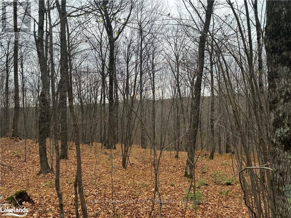 0 BASSHAUNT LAKE ROAD Image 15