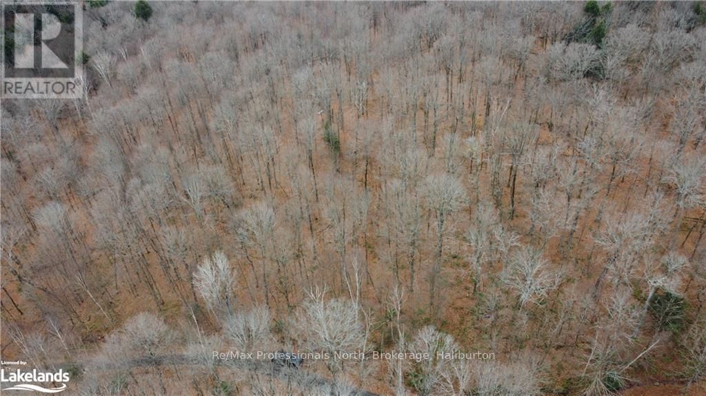 0 BASSHAUNT LAKE ROAD Image 18