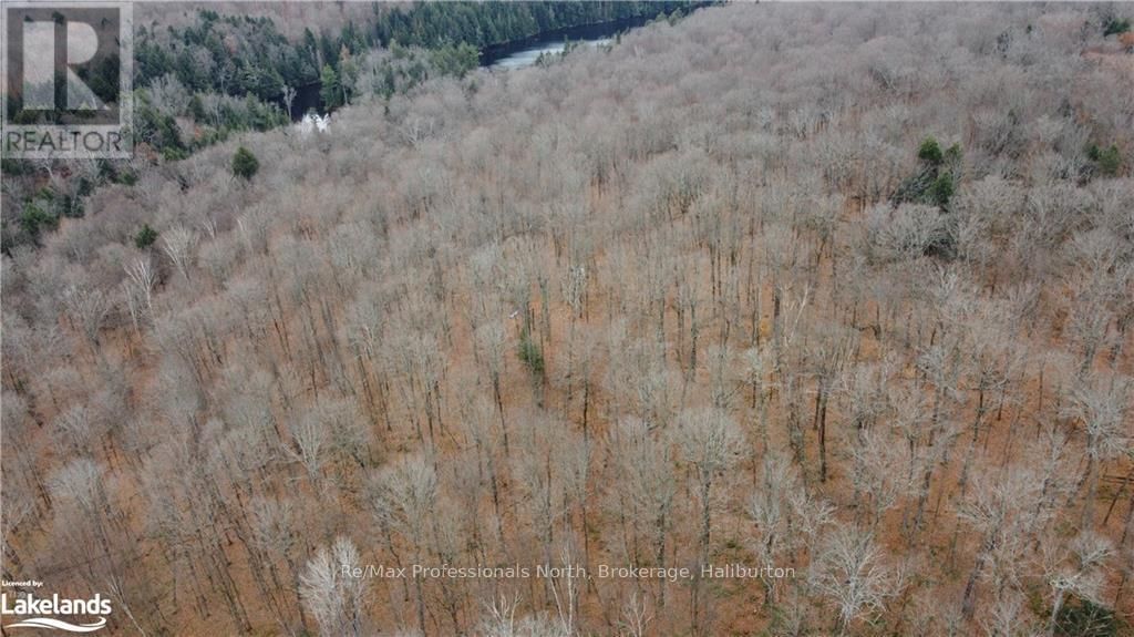 0 BASSHAUNT LAKE ROAD Image 19