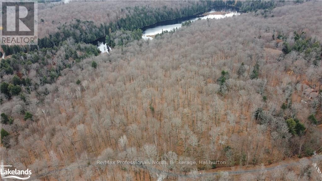 0 BASSHAUNT LAKE ROAD Image 20