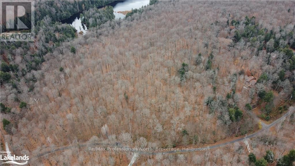 0 BASSHAUNT LAKE ROAD Image 22