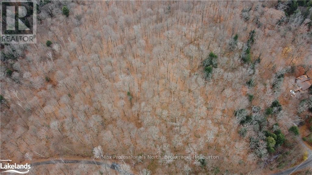 0 BASSHAUNT LAKE ROAD Image 33