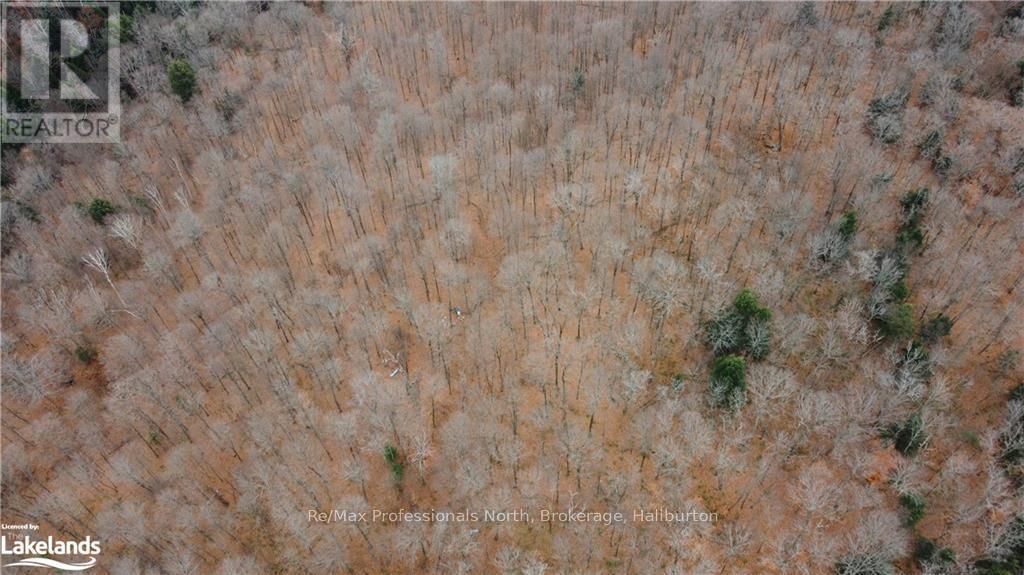 0 BASSHAUNT LAKE ROAD Image 34