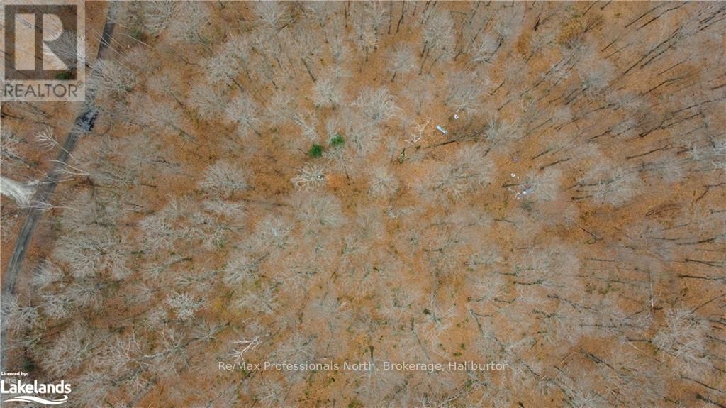 0 BASSHAUNT LAKE ROAD Image 35
