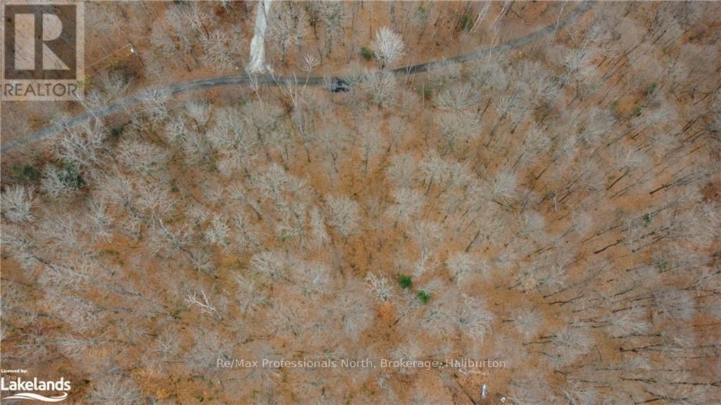 0 BASSHAUNT LAKE ROAD Image 36