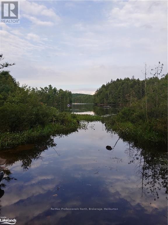 0 BASSHAUNT LAKE ROAD Image 38