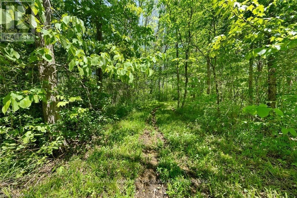 LOT 0 COUNTY ROAD 27 Image 29