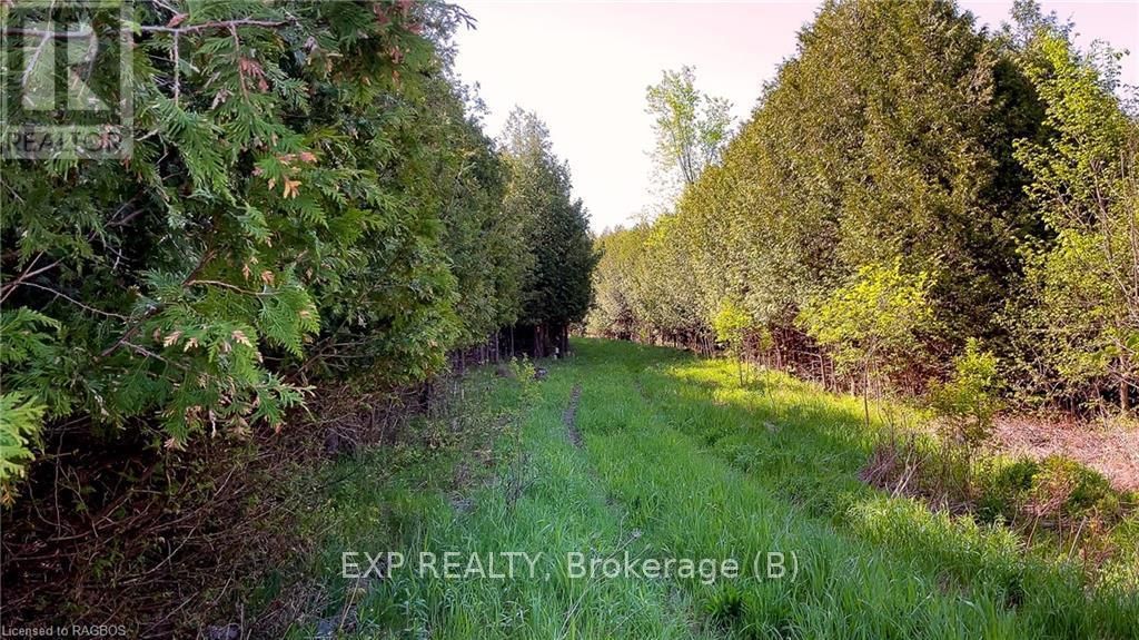 557329 4TH CORNERS SOUTH Image 7