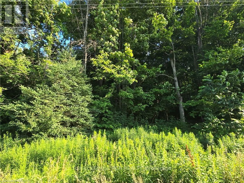 Tertiary Property View