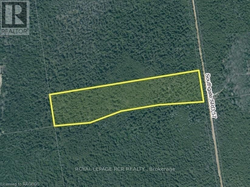 Primary Property View