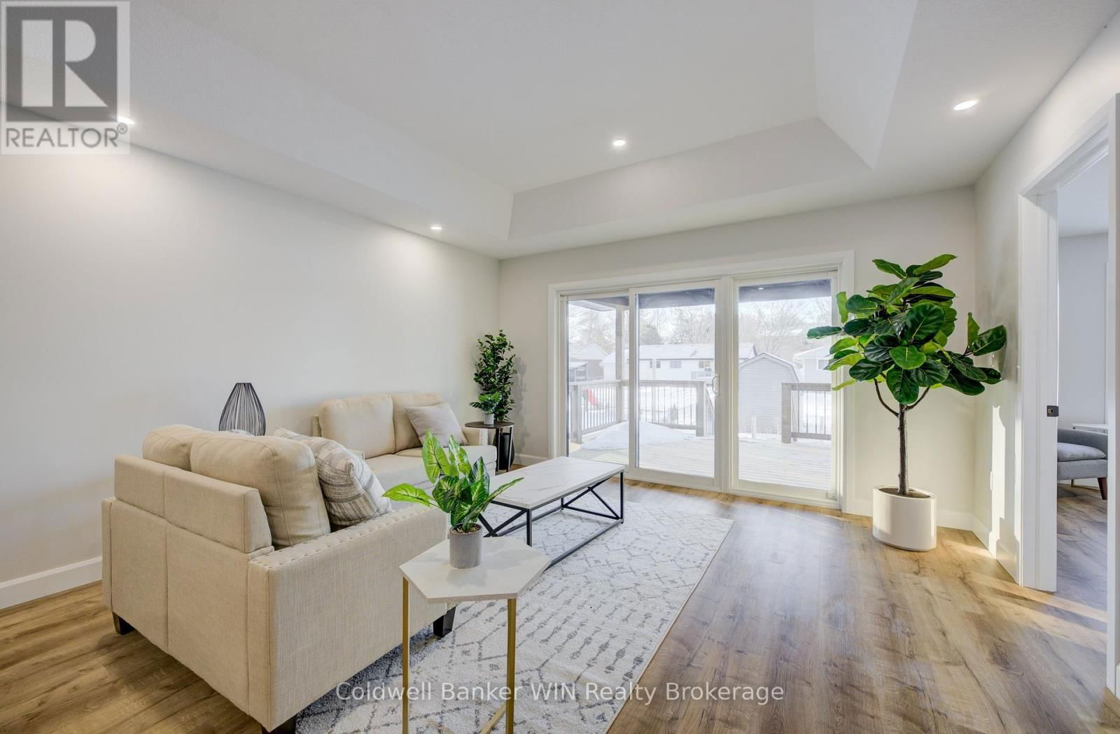 217 ELGIN STREET Image 12