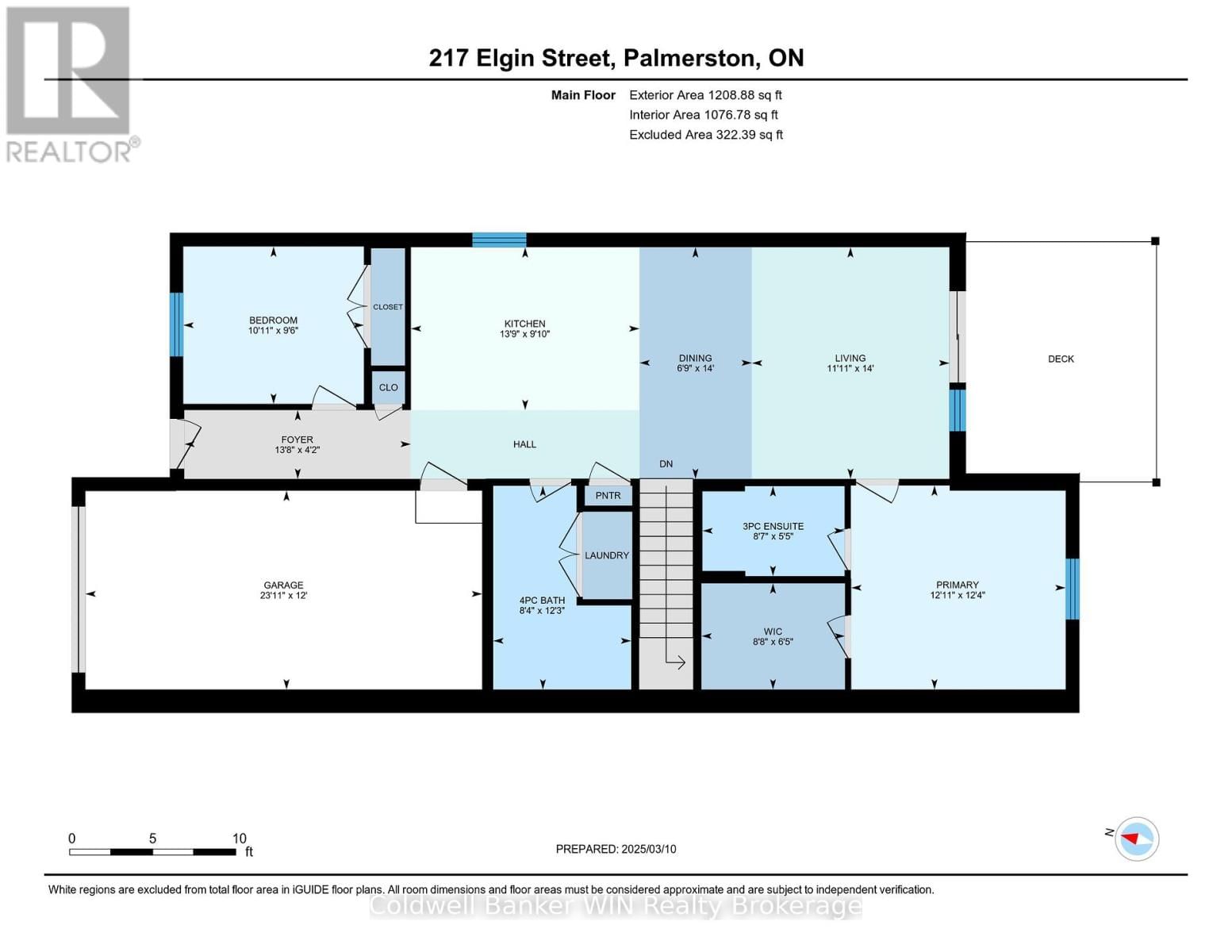 217 ELGIN STREET Image 29