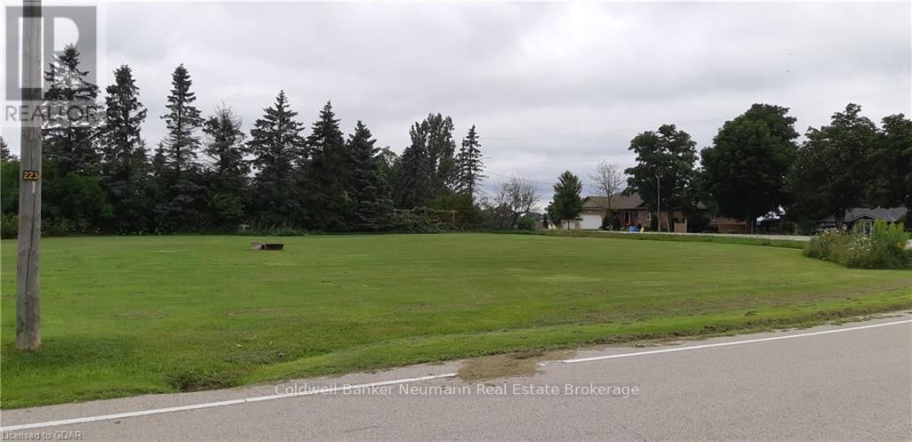 Primary Property View