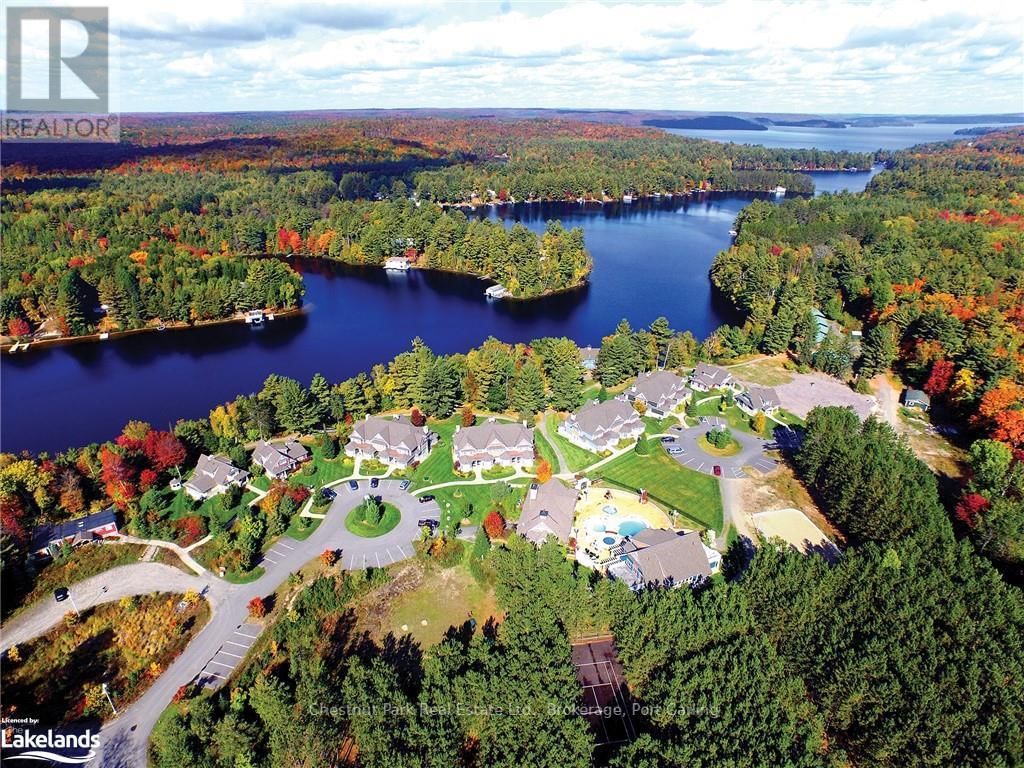 Primary Property View