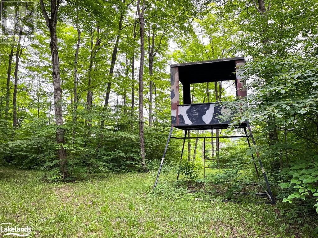 545413 4A SIDEROAD NORTH Image 33