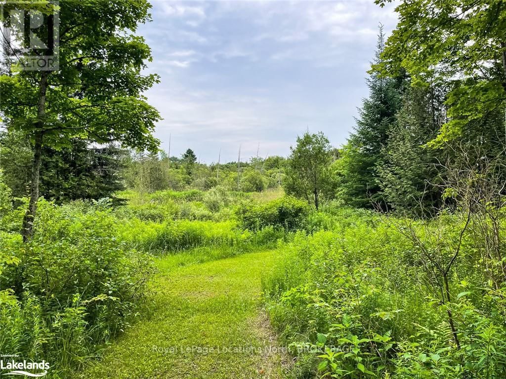 545413 4A SIDEROAD NORTH Image 36