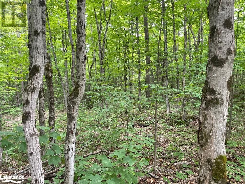 23 AHMIC LAKE ROAD Image 2