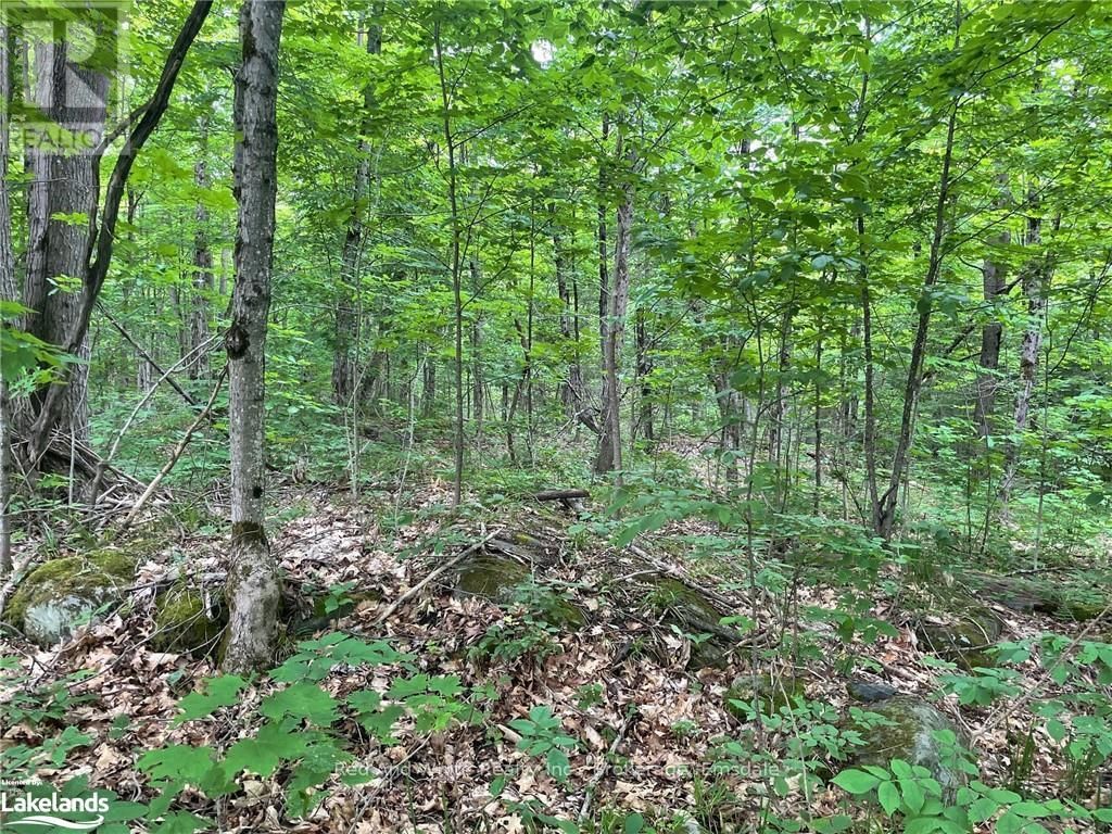 23 AHMIC LAKE ROAD Image 3