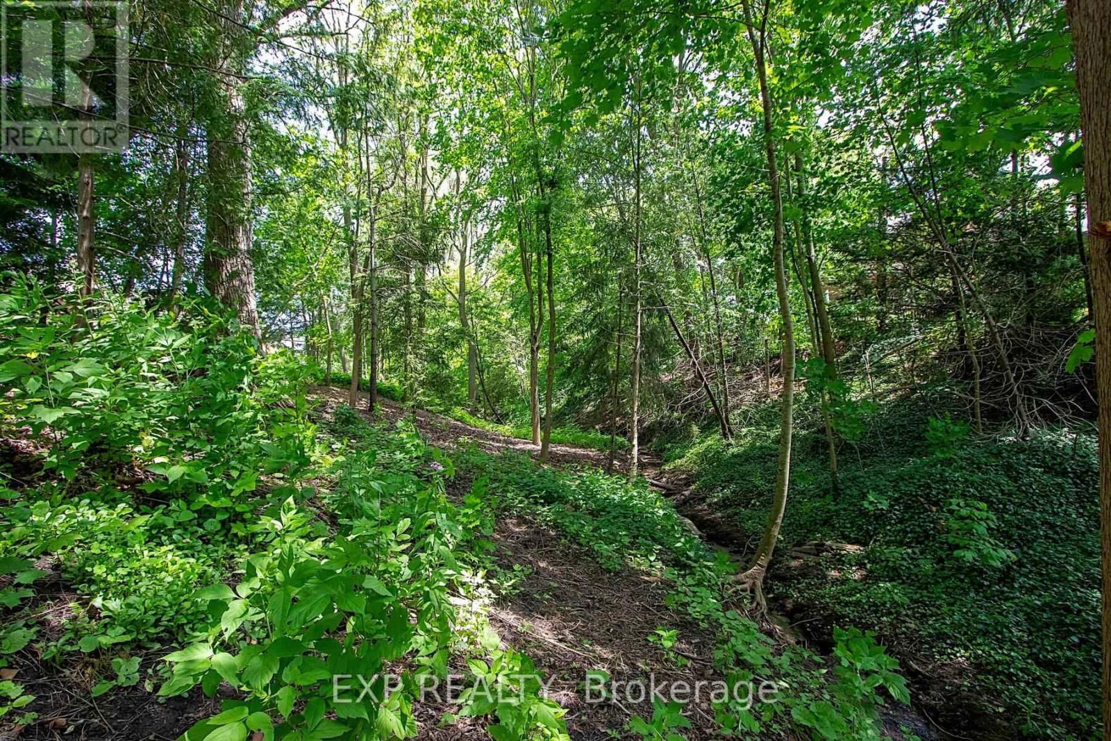 25 DEMEYERE AVENUE Image 39
