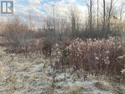 Commercial for Rent in Ontario