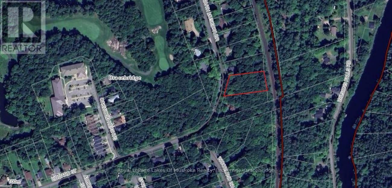 0 SOUTH MUSKOKA DRIVE Image 1