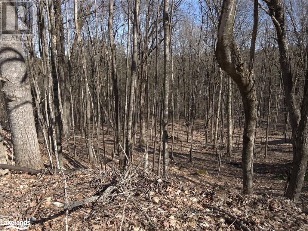 0 SOUTH MUSKOKA DRIVE Image 2