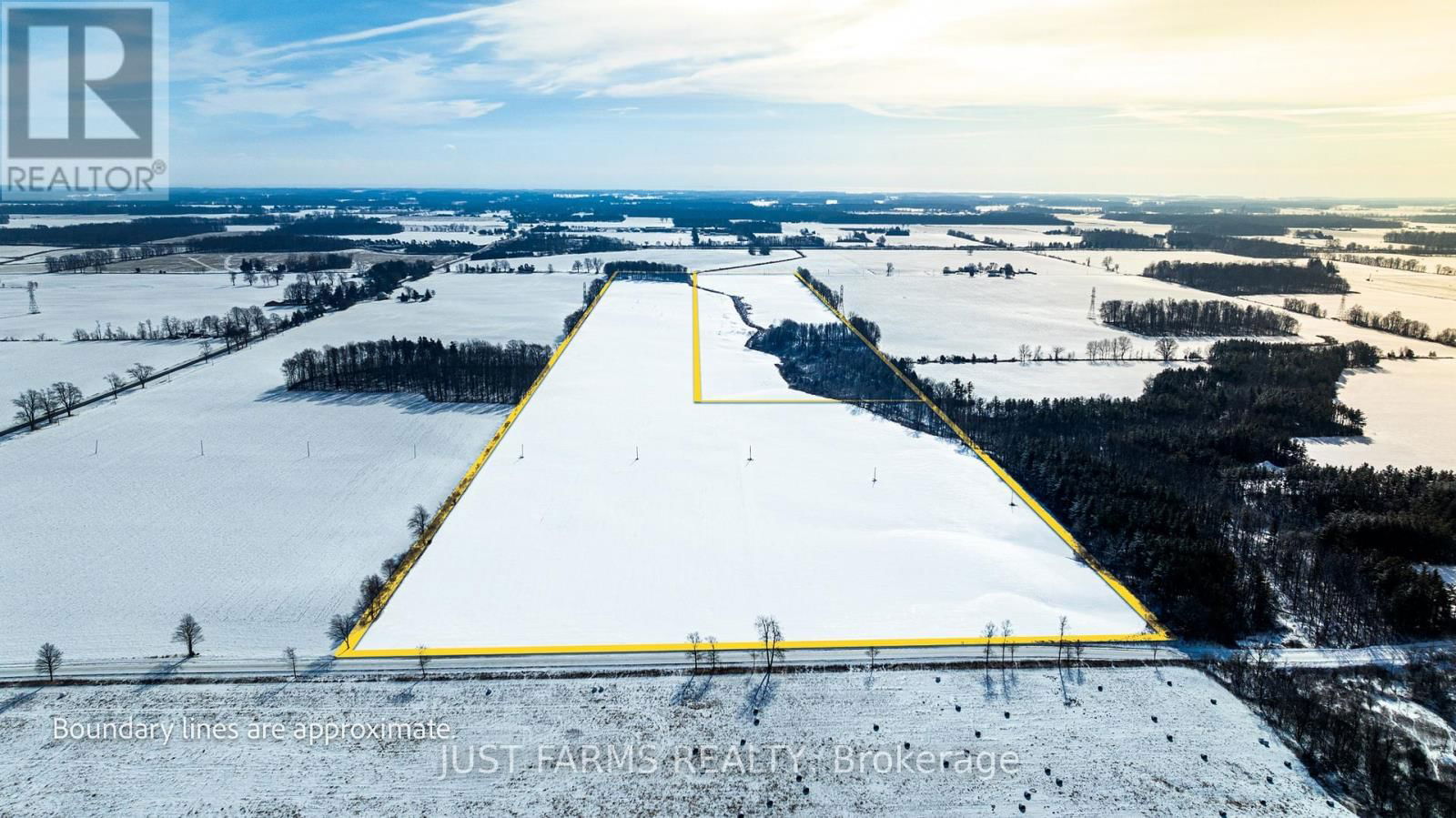 Primary Property View