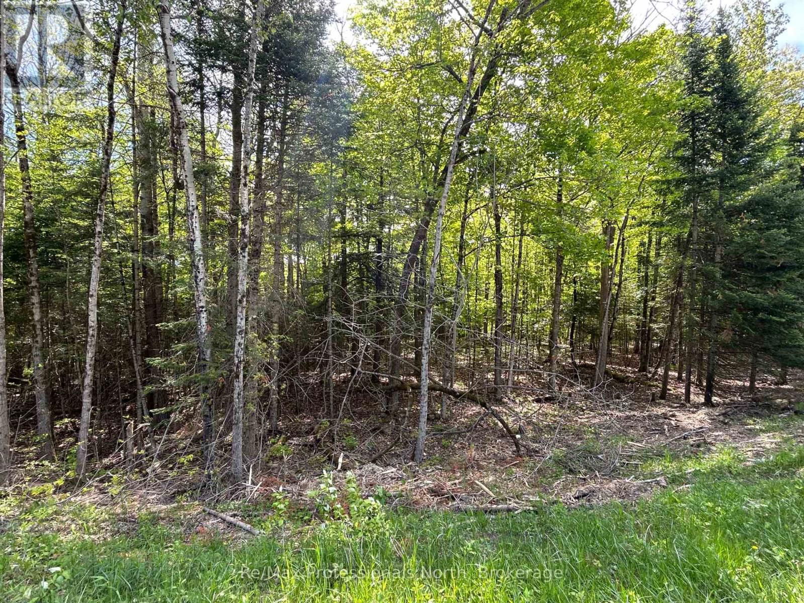 0 SHARON LAKE DRIVE Image 10