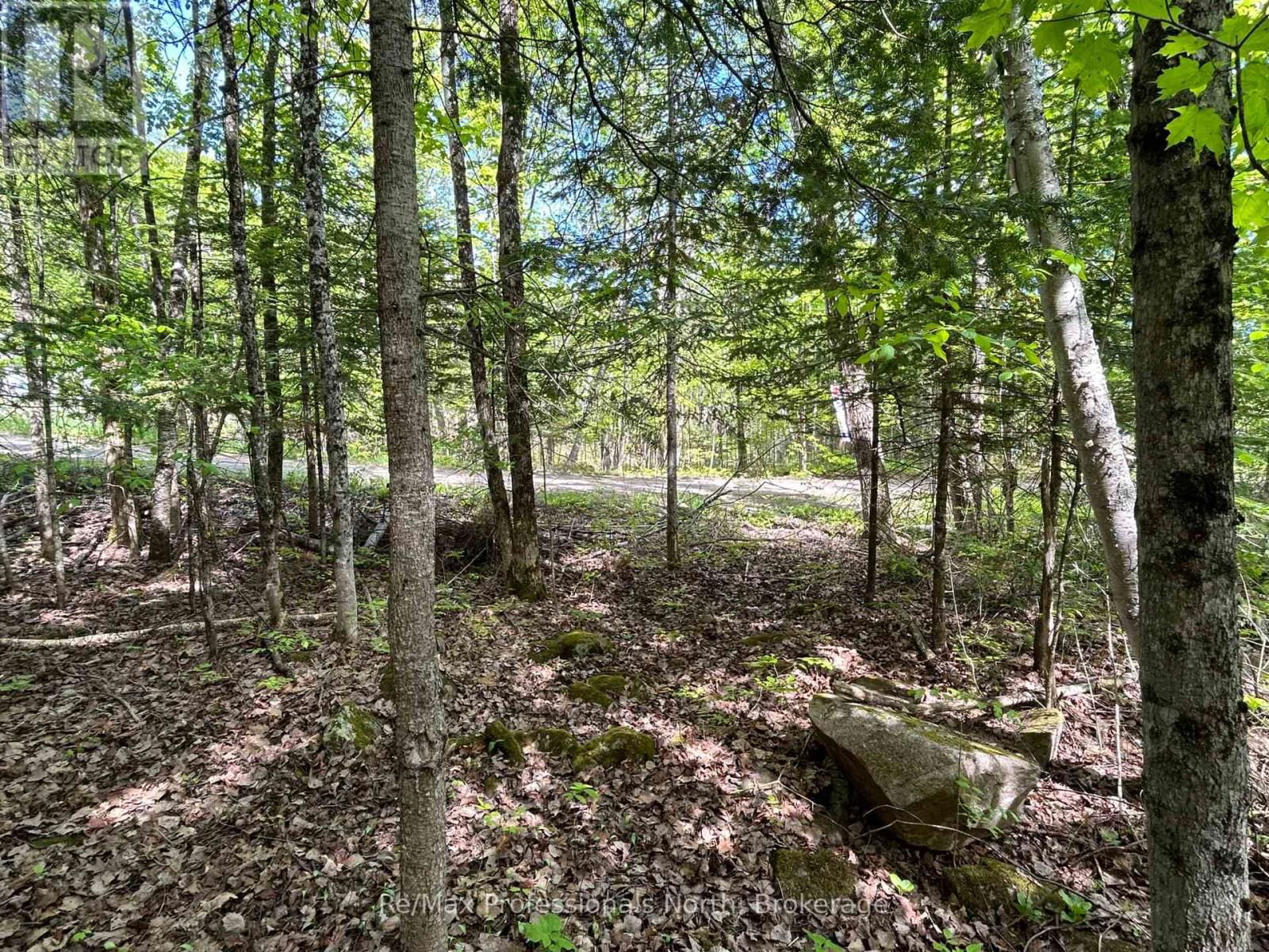 0 SHARON LAKE DRIVE Image 3