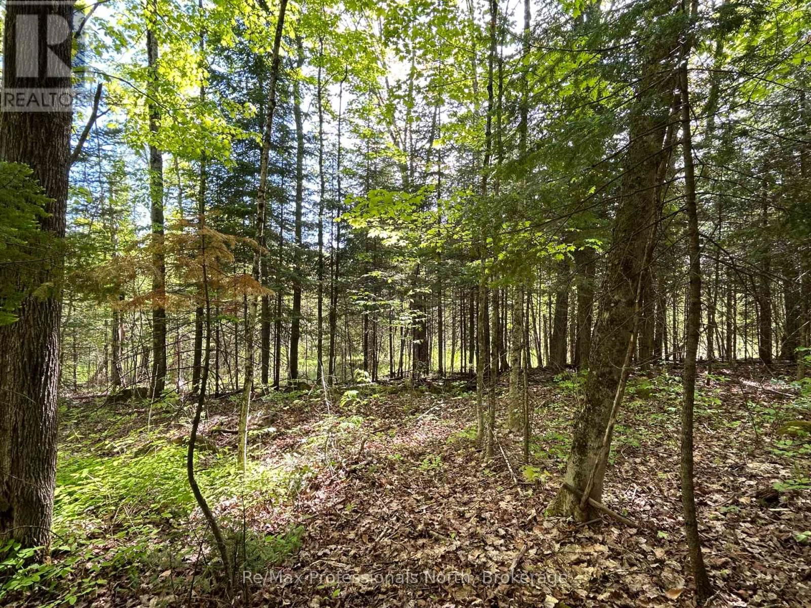 0 SHARON LAKE DRIVE Image 5