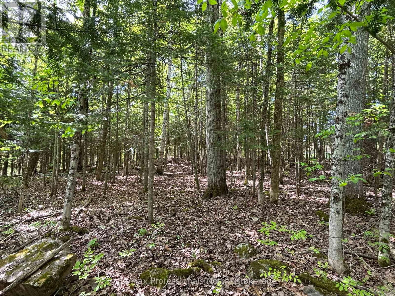 0 SHARON LAKE DRIVE Image 7