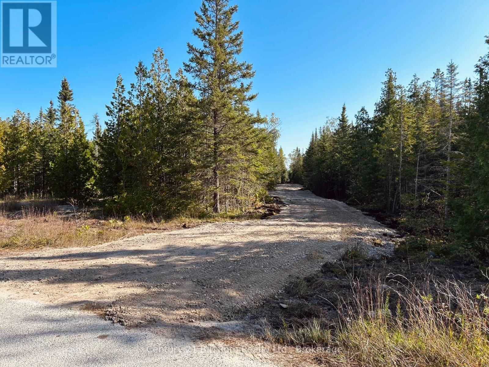 Primary Property View