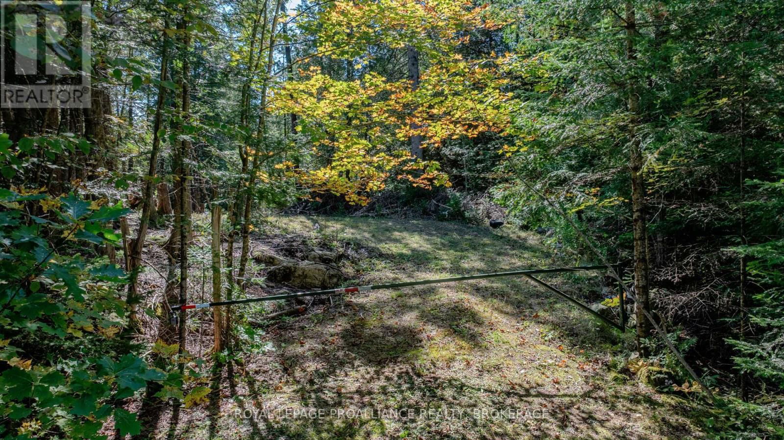 1518 WINTERGREEN ROAD Image 3