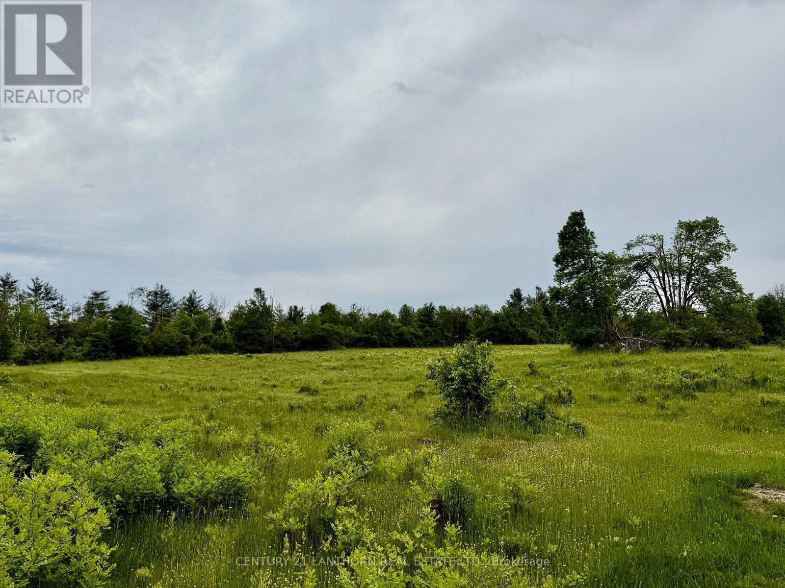 00 COOPER ROAD Image 4